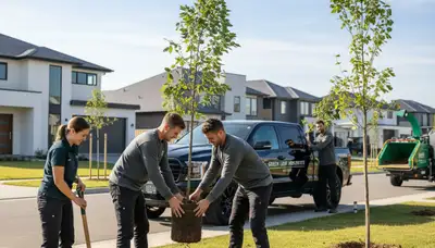 Arborist planting new tree in Burlington VT yard for Chop Chop Tree expert tree planting service