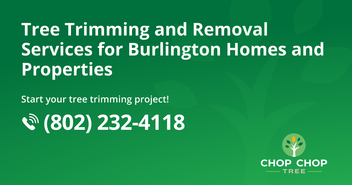 Tree Removal & Tree Services in Burlington | Chop Chop Tree