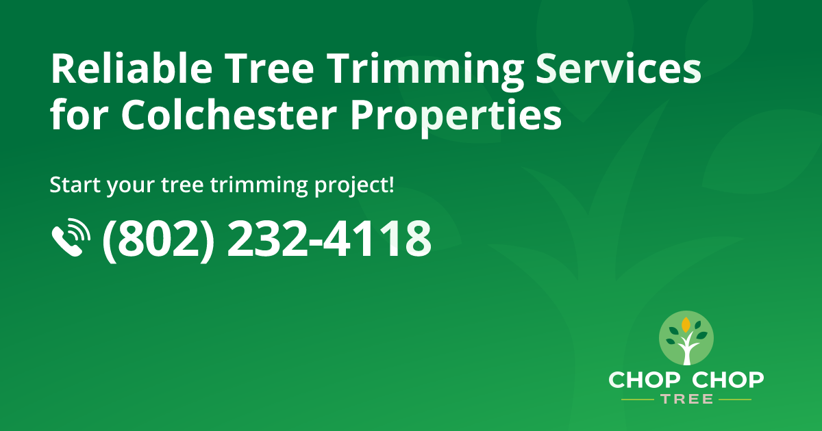 Local Reviews From Colchester Homeowners on Tree Trimming Services